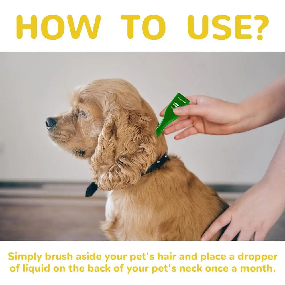 Flea and Tick Treatment