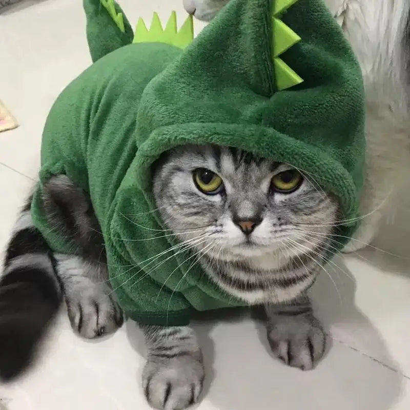 Pets Costume