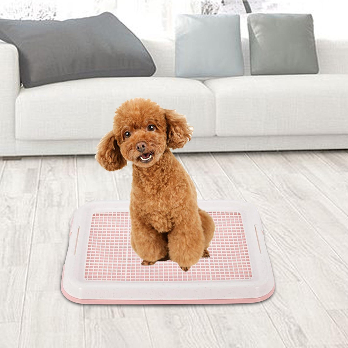 Dog Potty Toilet Training Tray Easy to Clean Removable