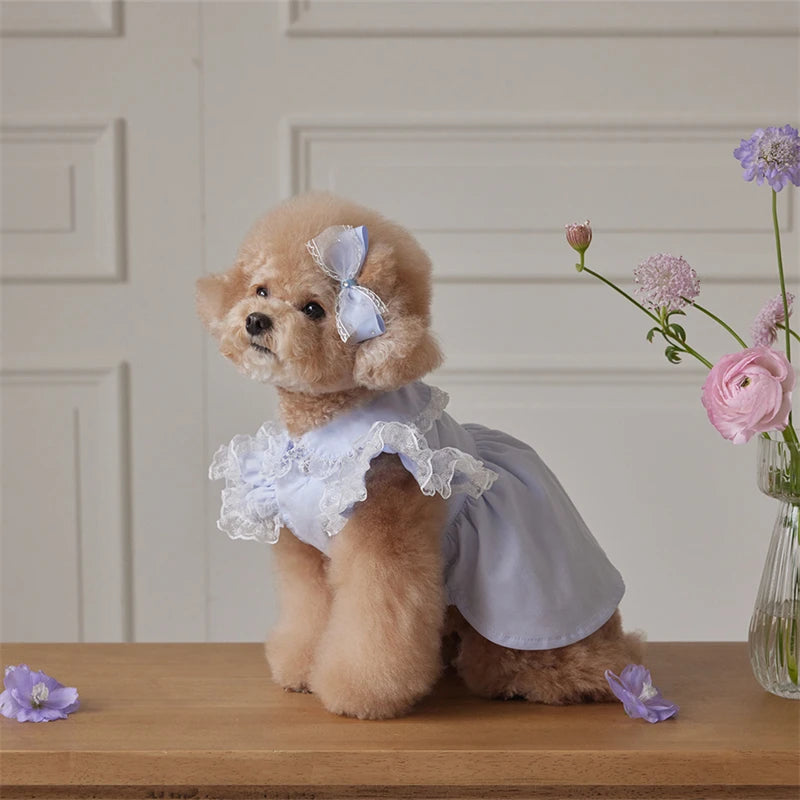Flower Girl Dresses for Small Dog