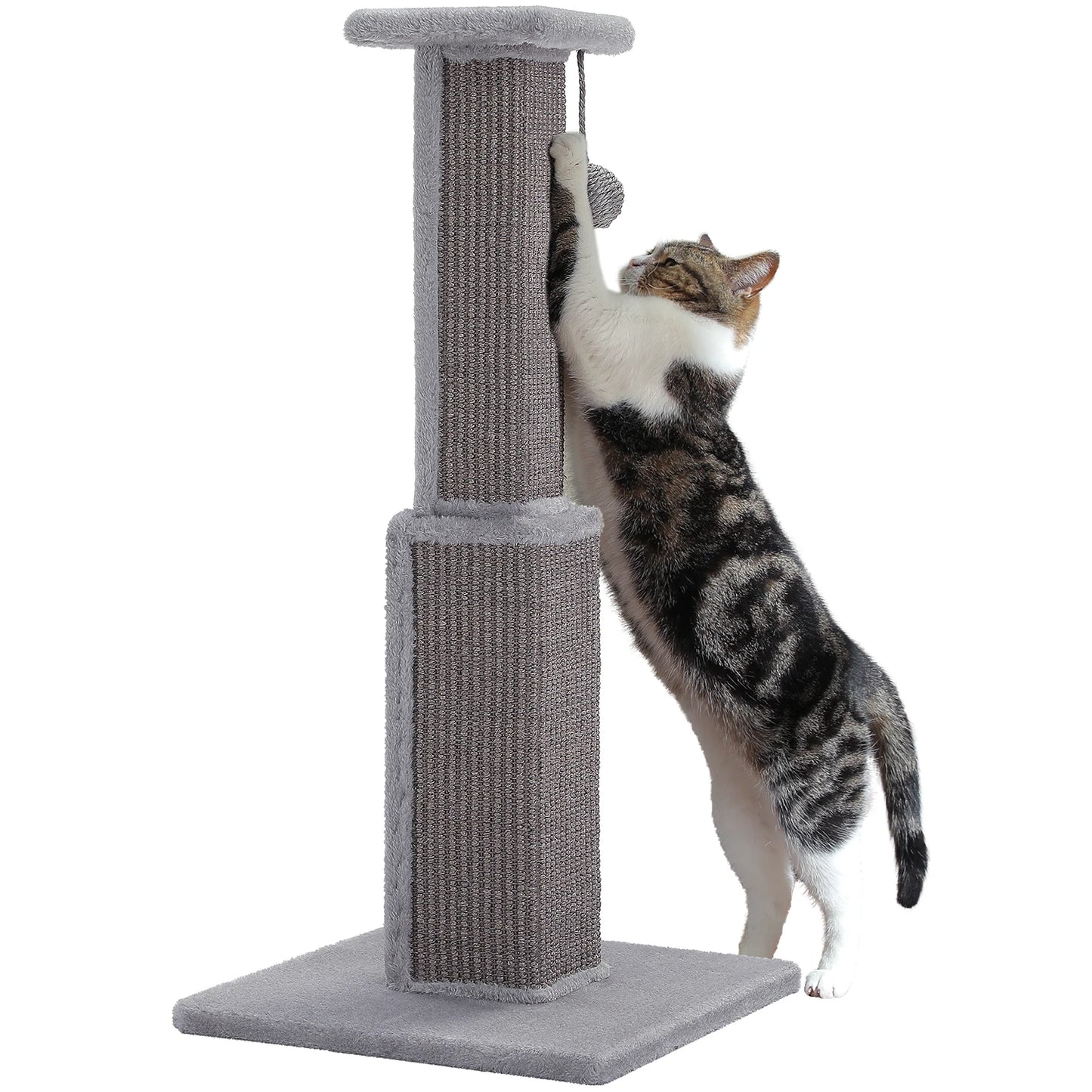 80CM Cat Scratching Post for Indoor