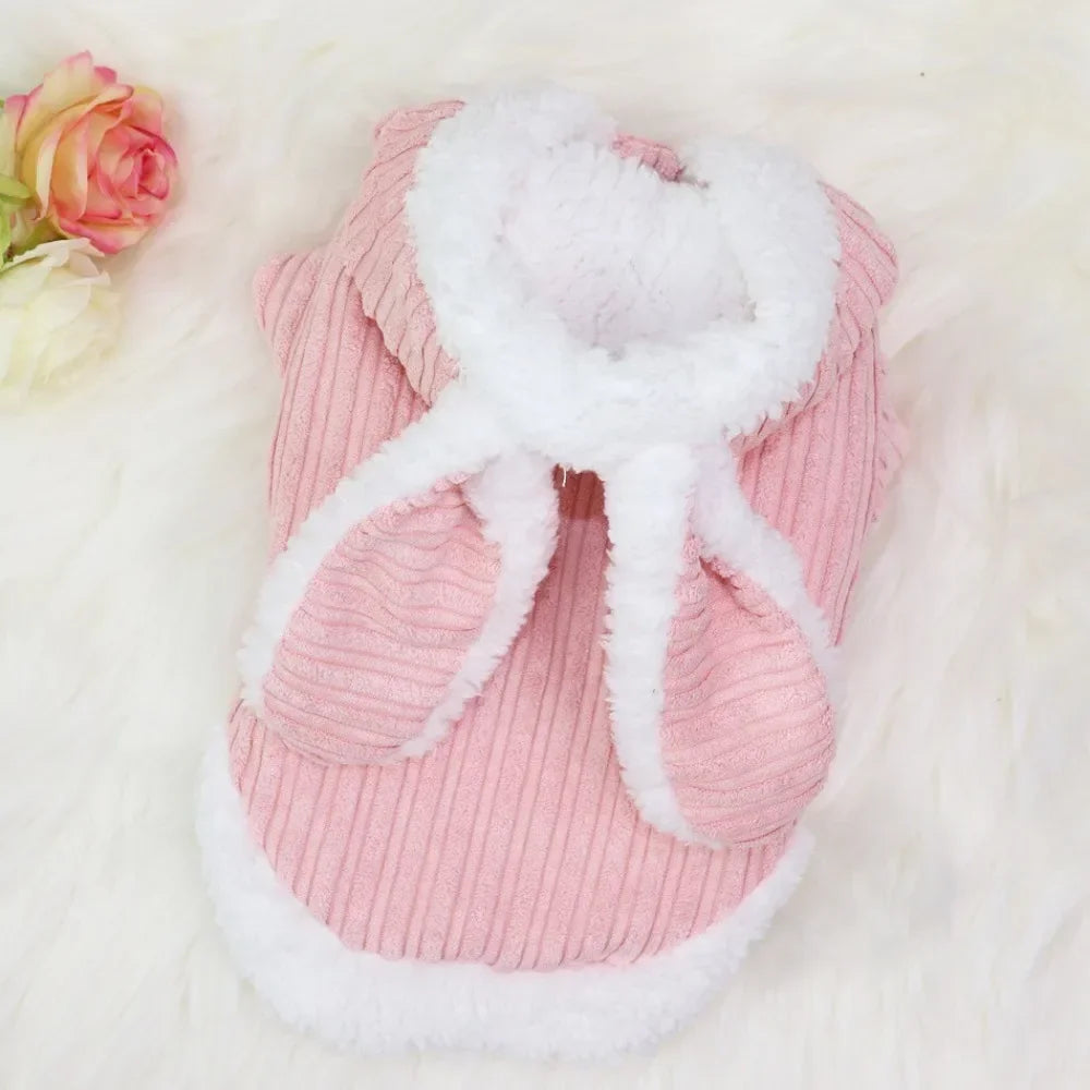 Lovable Pet Clothes Autumn and Winter