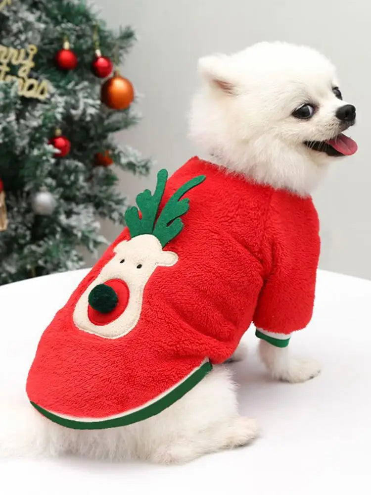 Dog Christmas Clothes