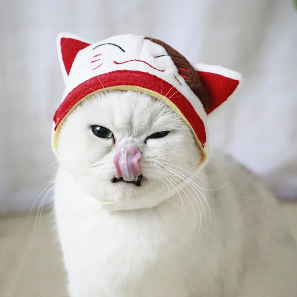 Hat for Cat & Dog