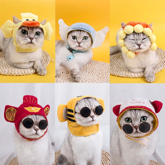 Hat for Cat & Dog