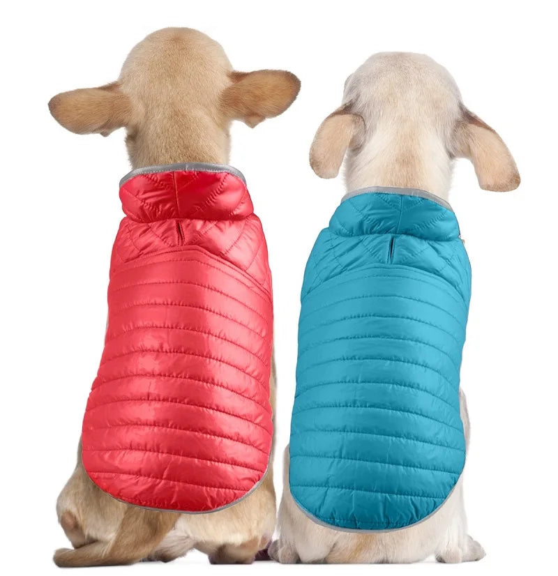 Dog Winter Clothes
