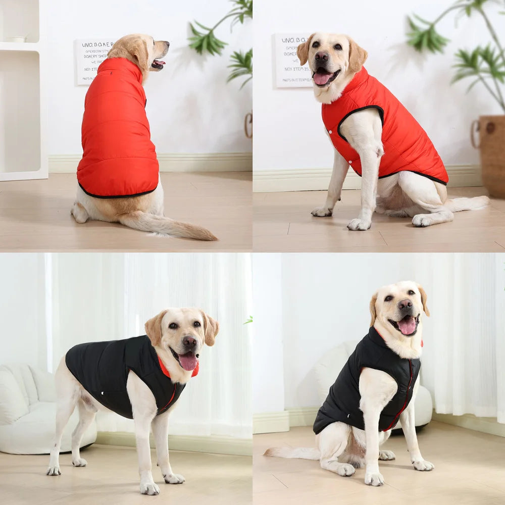 Large Dogs Jacket