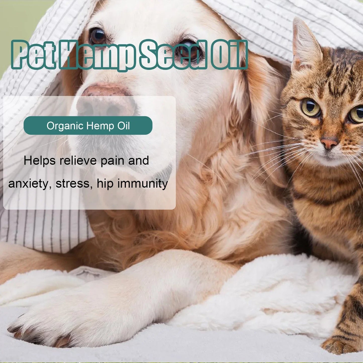 Pet Hemp speed oil