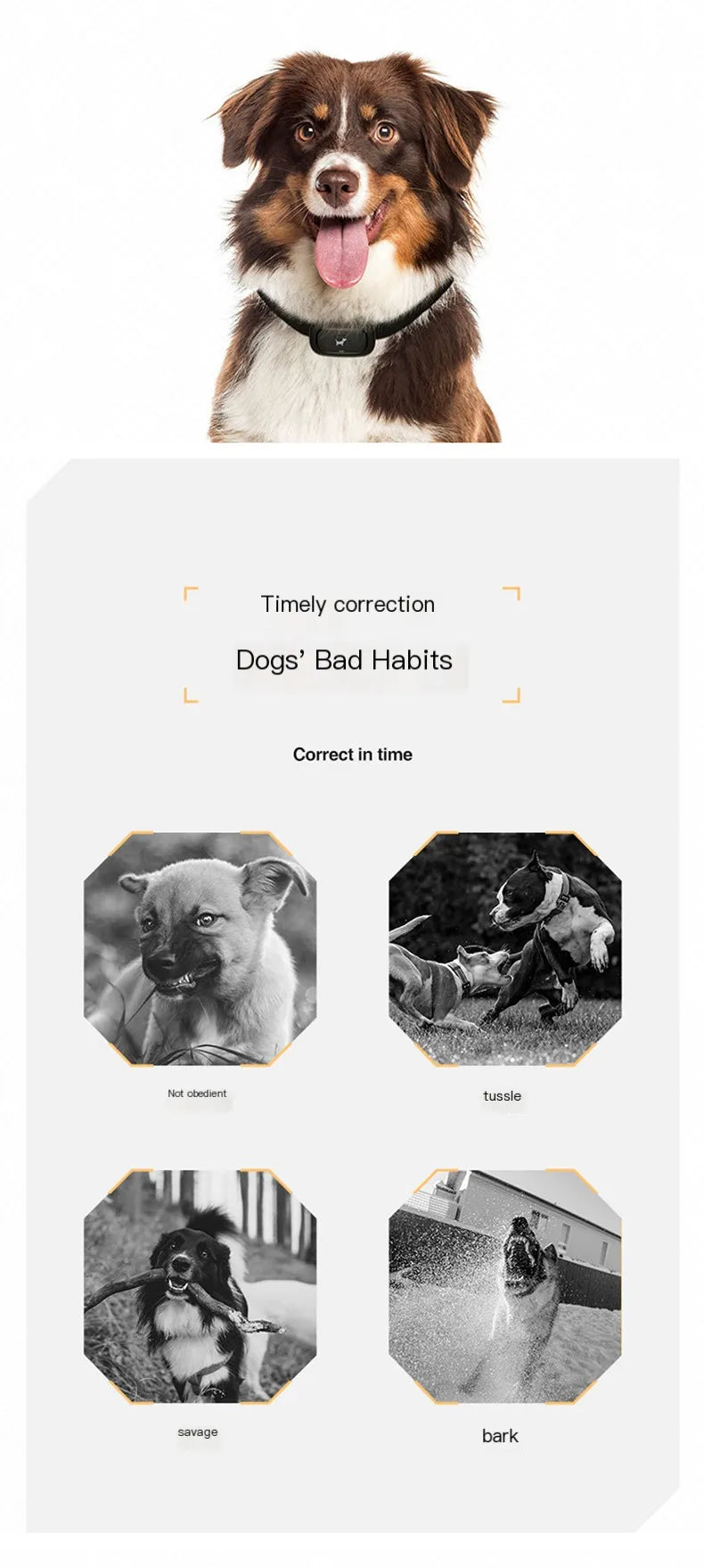 Dog training device remote control barking