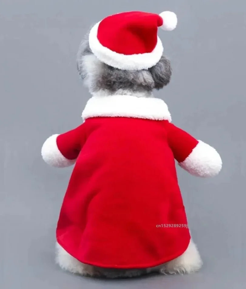 Santa Claus Dog Costume