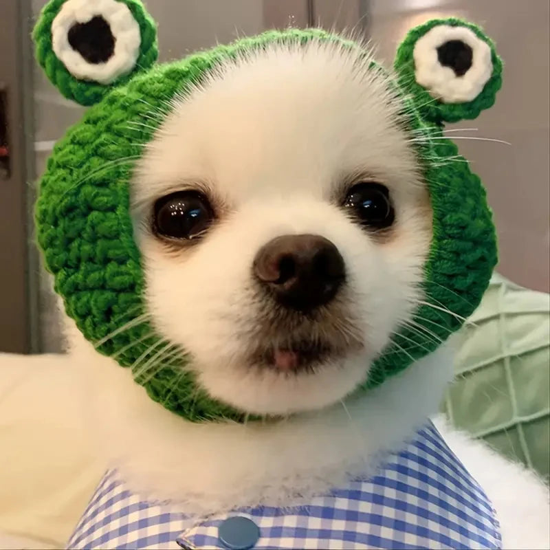 1pc  Green Knitted Frog Shaped Pet Hat