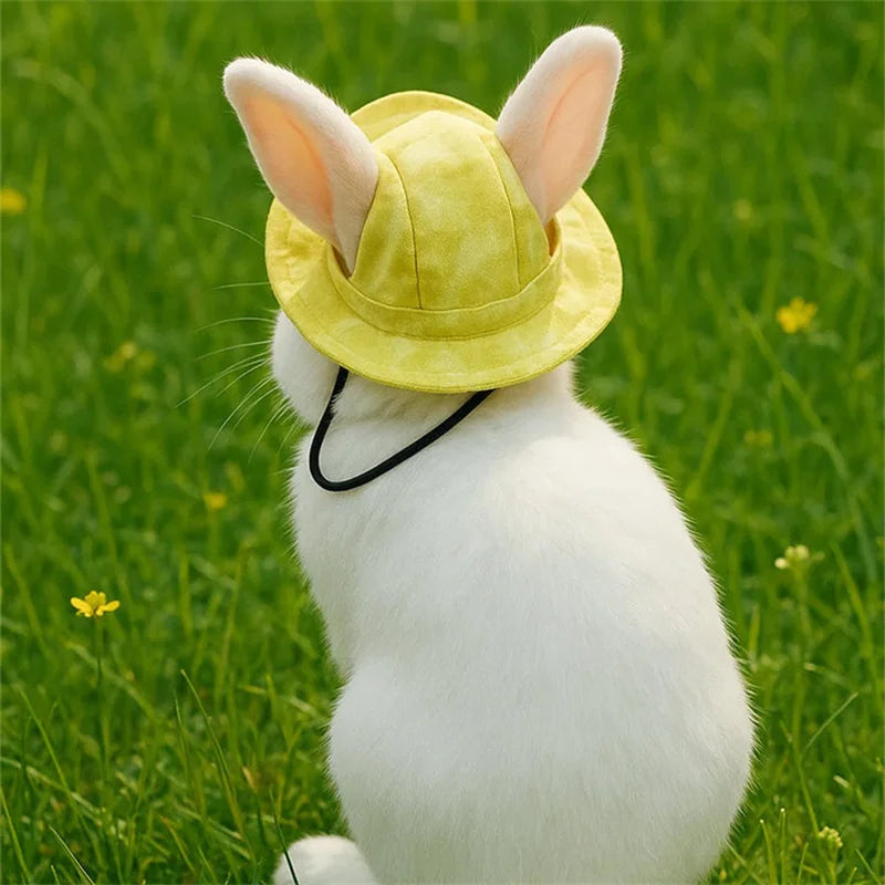 Hats for cats and dogs