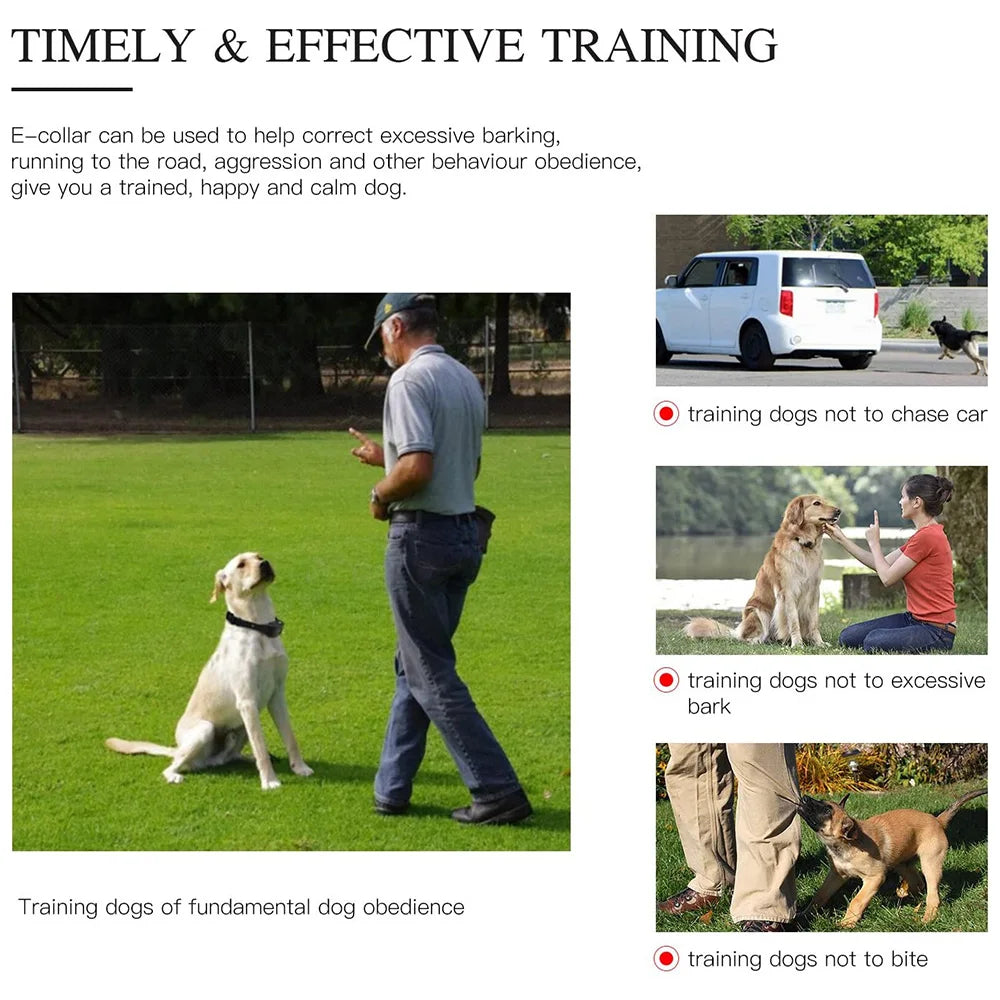 800m Digital Dog Training Collar Waterproof Rechargeable Remote Control