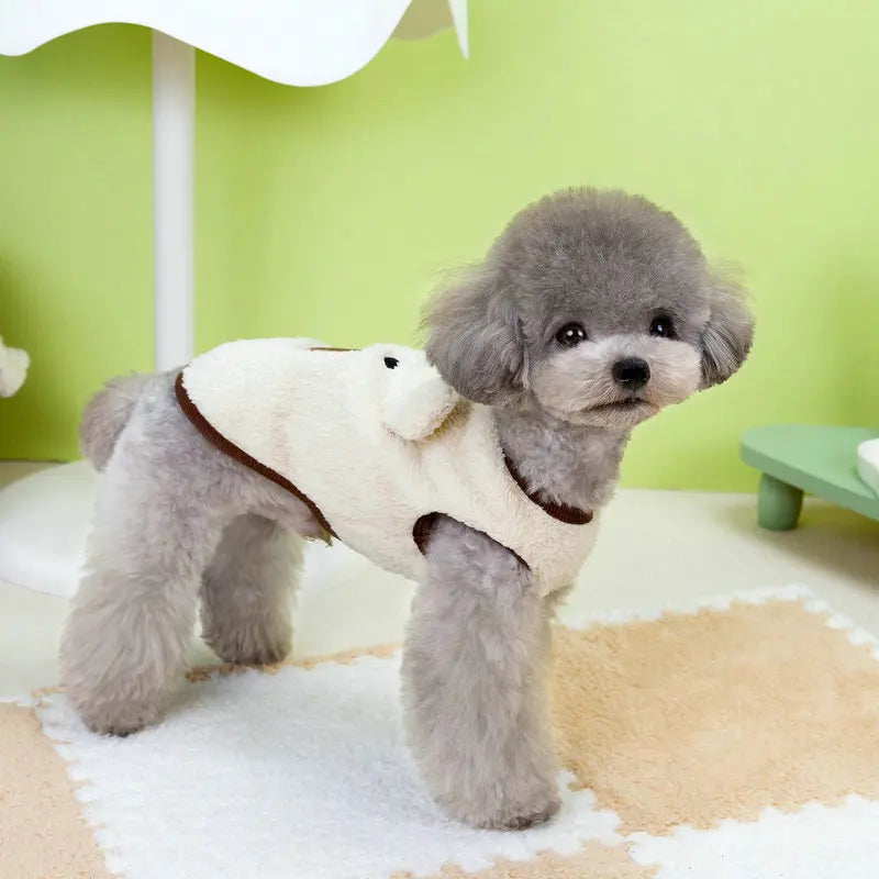 Teddy Coat Pet