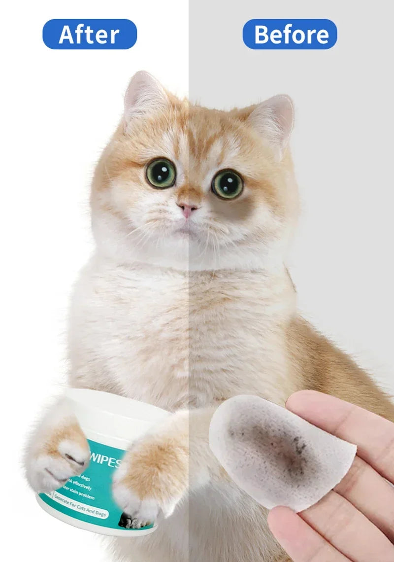 100 Pieces of Pet Eye Wipes