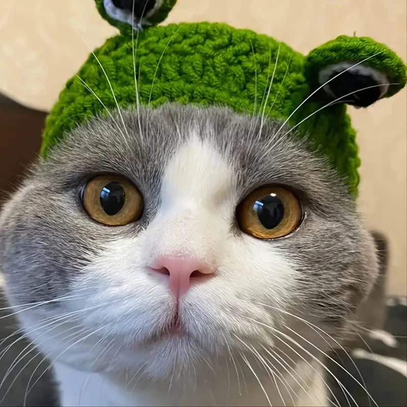 1pc  Green Knitted Frog Shaped Pet Hat