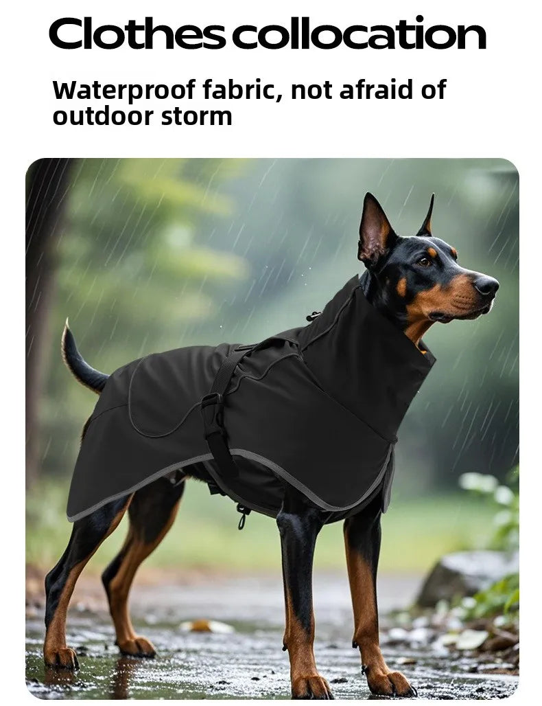 Outdoor jacket Outfit Waterproof