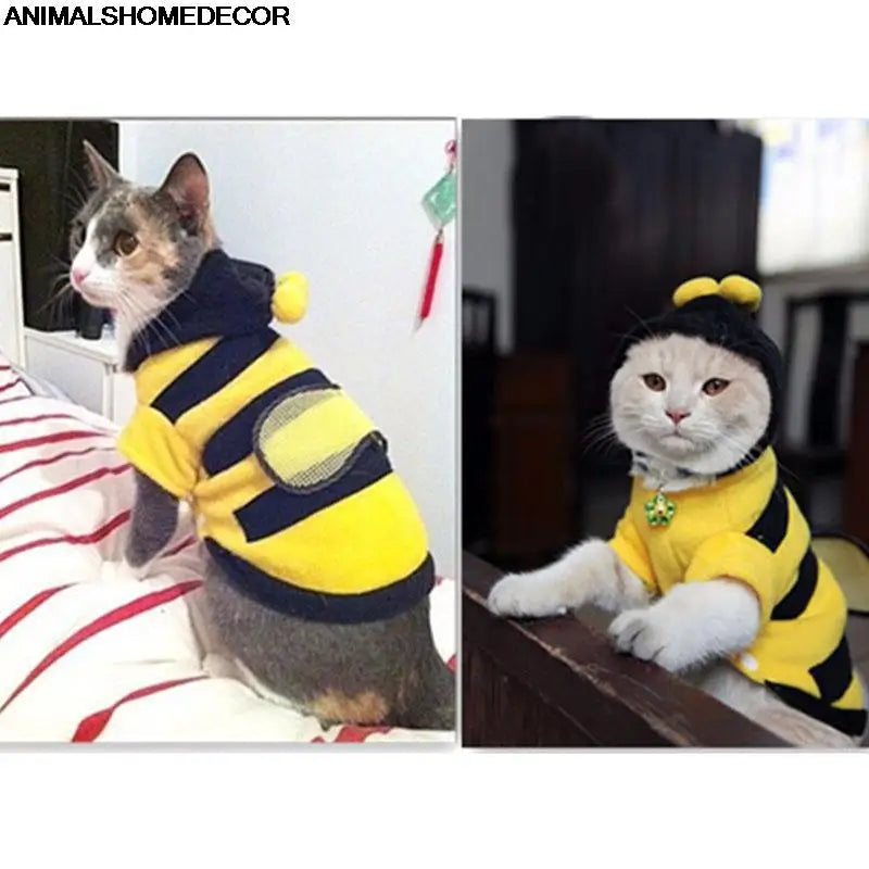 Cute Dog & Cat Bees Clothes