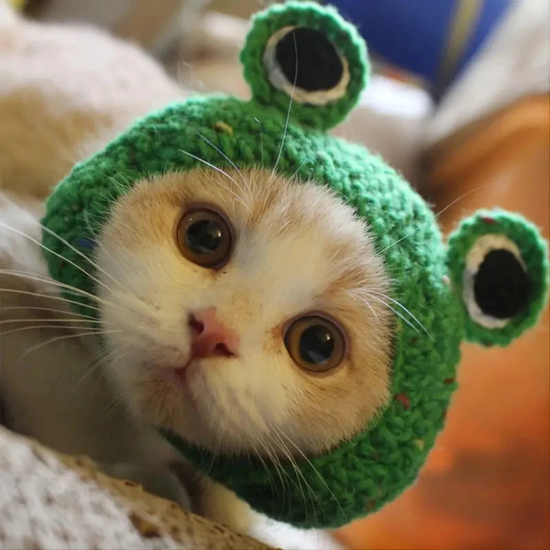 1pc  Green Knitted Frog Shaped Pet Hat