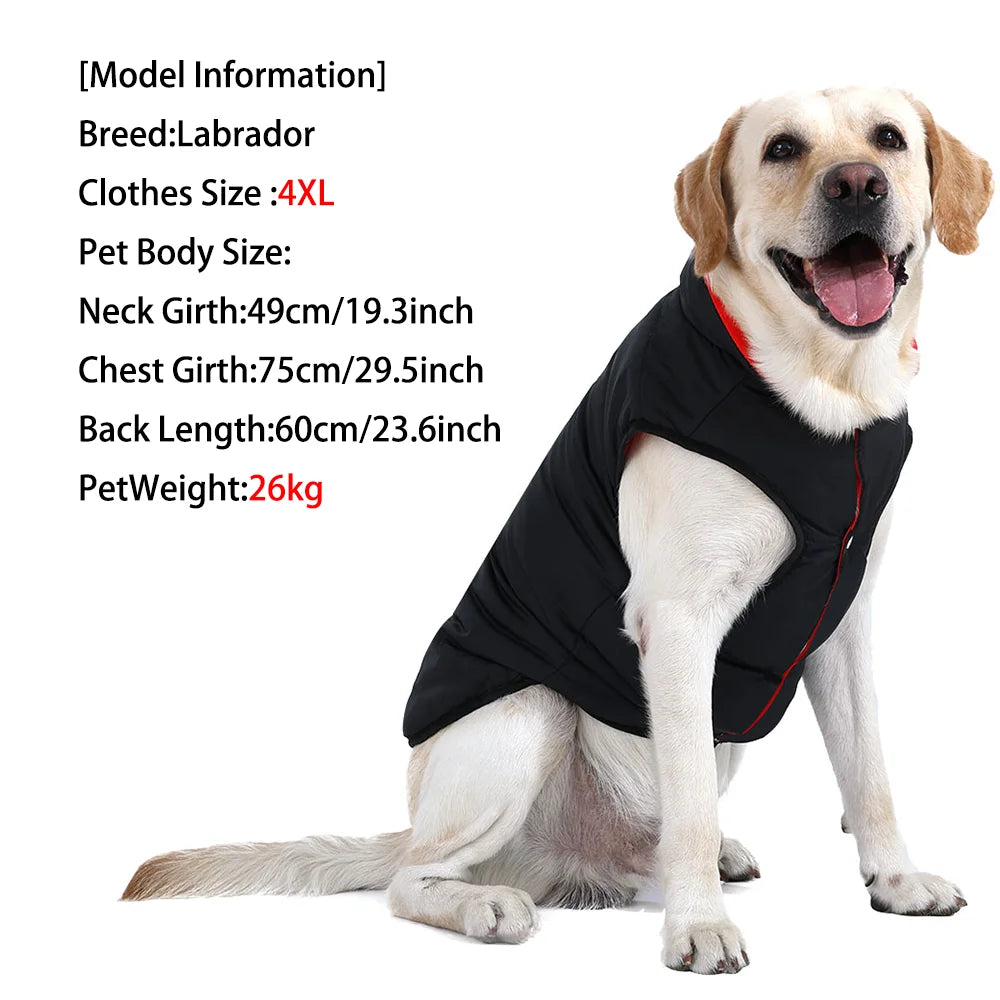 Large Dogs Jacket