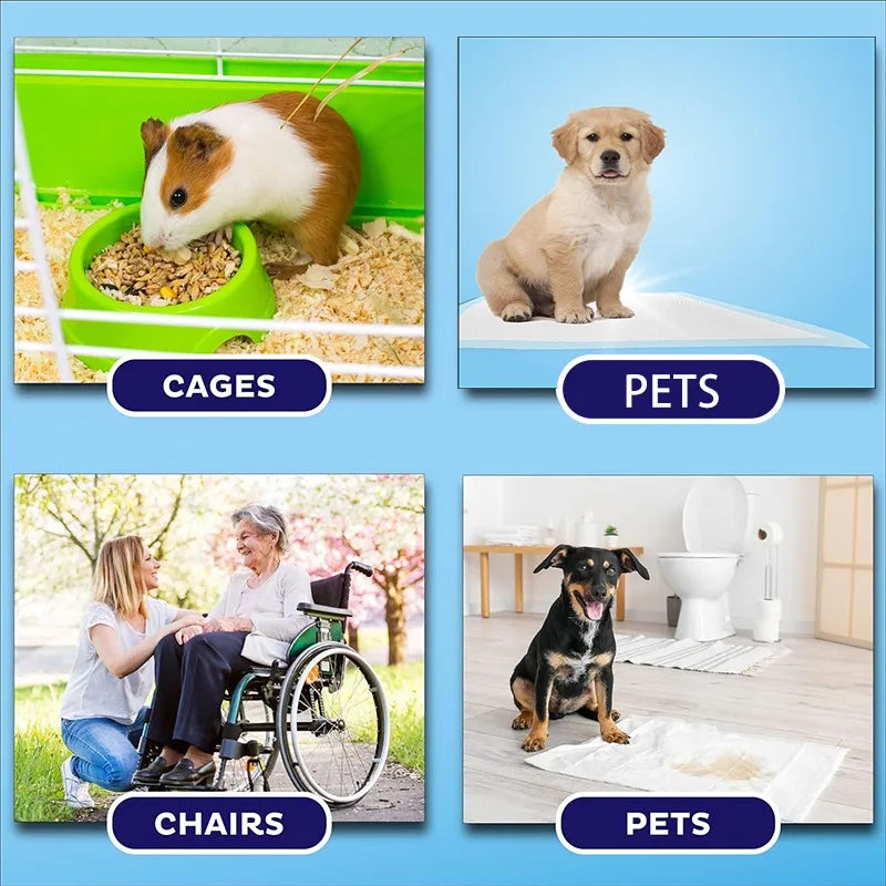 Disposable Pet Diapers