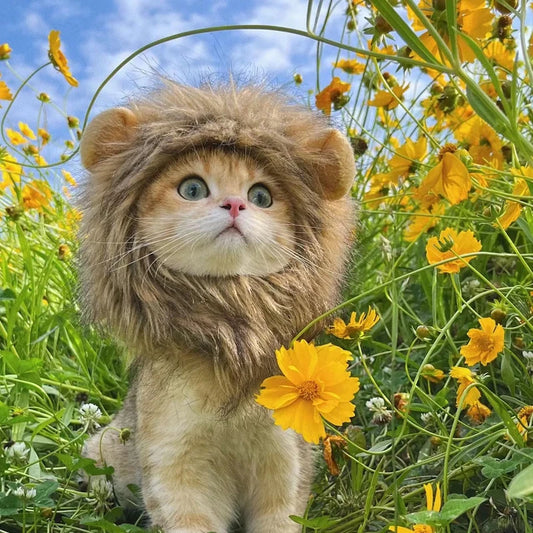 Funny Pets Lion Hat