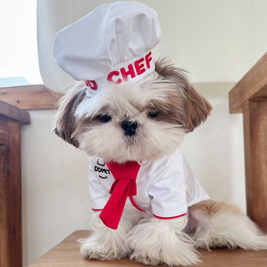 Chef's Outfit Set