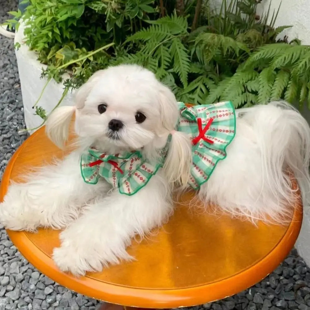 Cute Green Skirt Costume