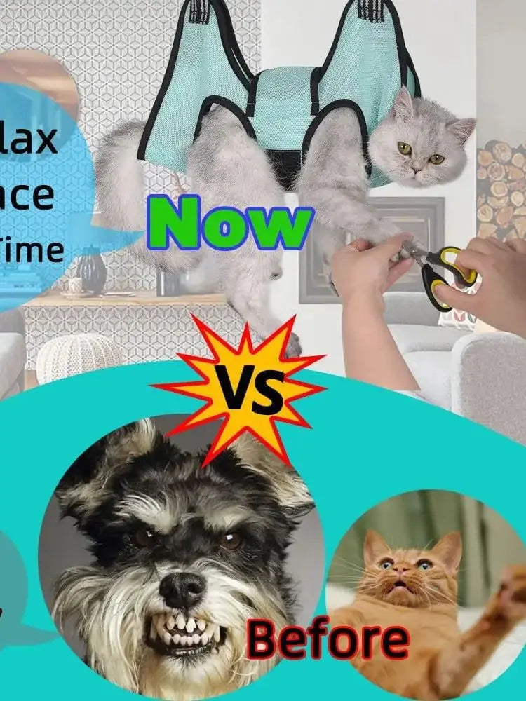 New Pet Grooming Helper