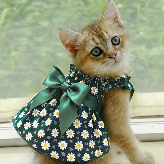 Fashion Cat Dog Dress