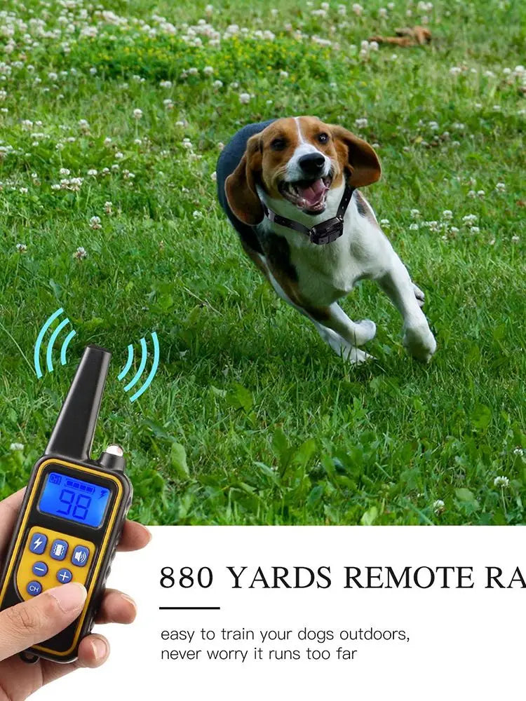 800m Digital Dog Training Collar Waterproof Rechargeable Remote Control