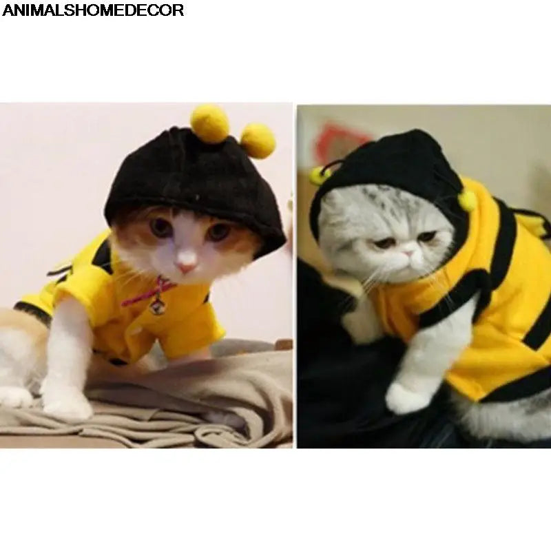 Cute Dog & Cat Bees Clothes