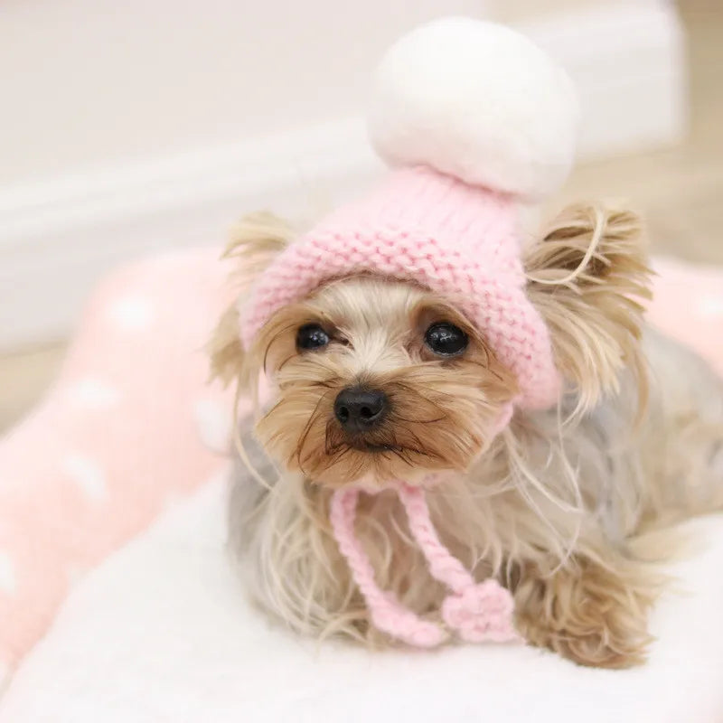 Stylish Dog Cat Warm Hat