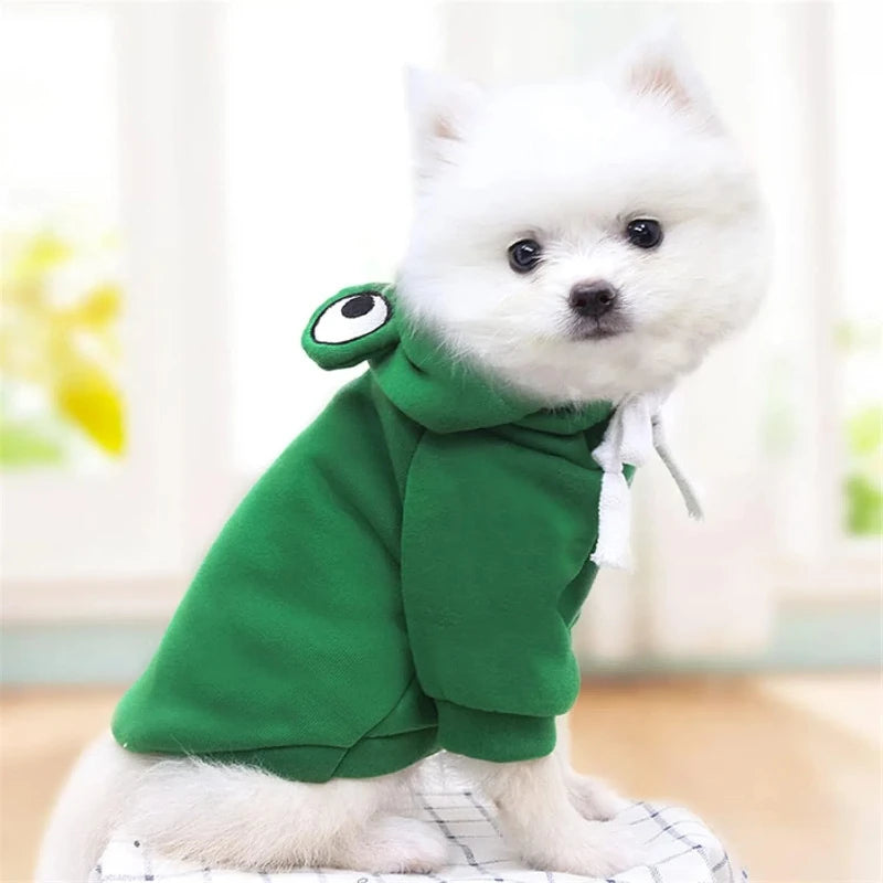 Pet hoodie