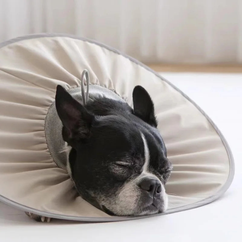 Pet Elizabethan Sterilization Care Collar
