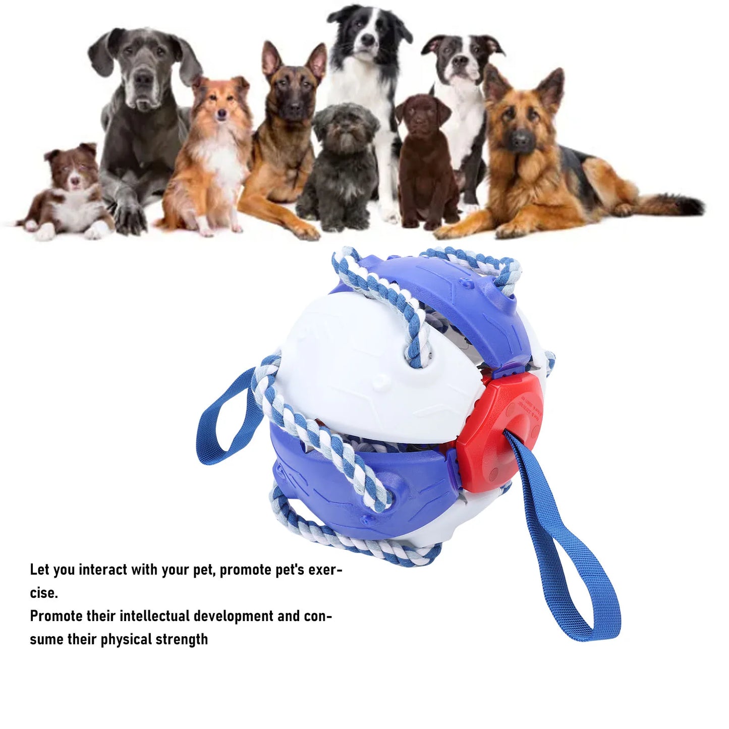 Dog  Ball with Rope Wear Resisting Promoting Pet Exercise