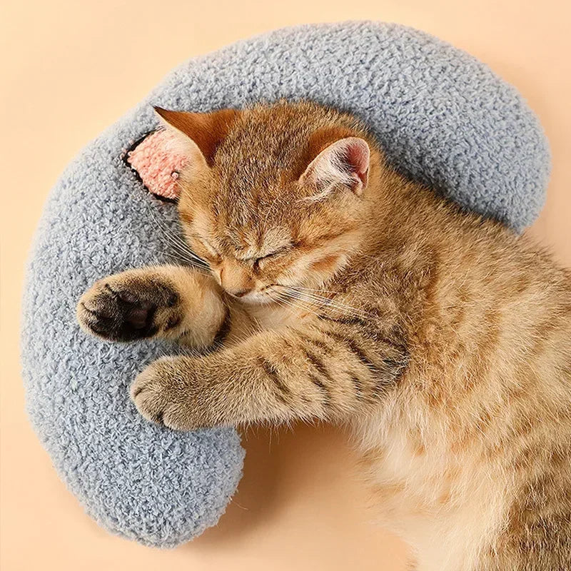 Soft Sleeping Pillow