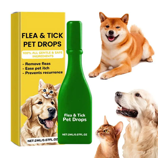 Flea and Tick Treatment