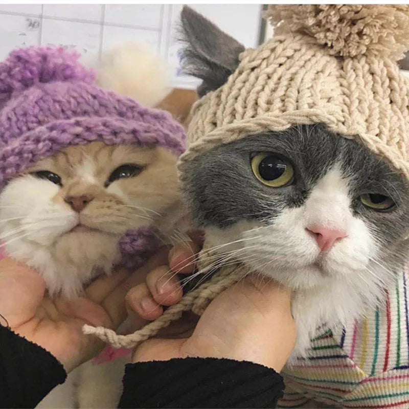Stylish Dog Cat Warm Hat