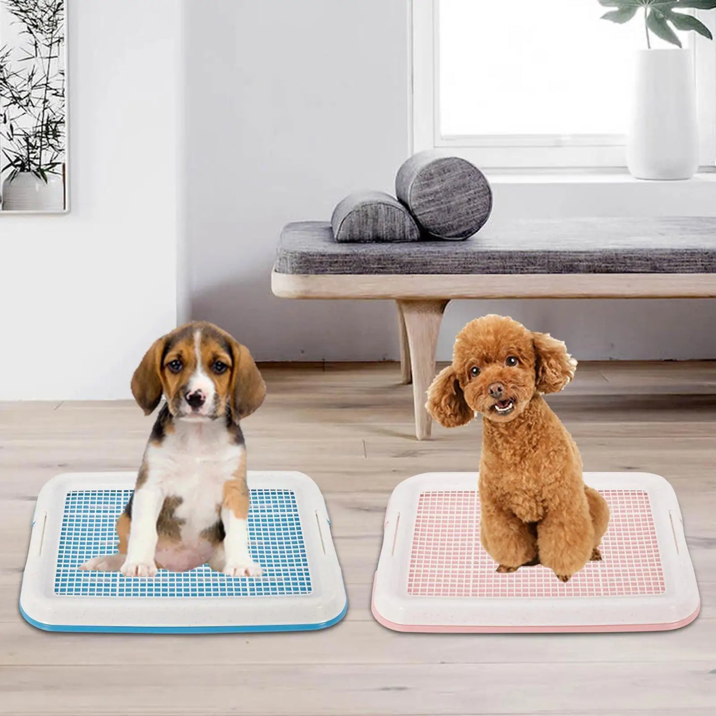 Dog Potty Toilet Training Tray Easy to Clean Removable