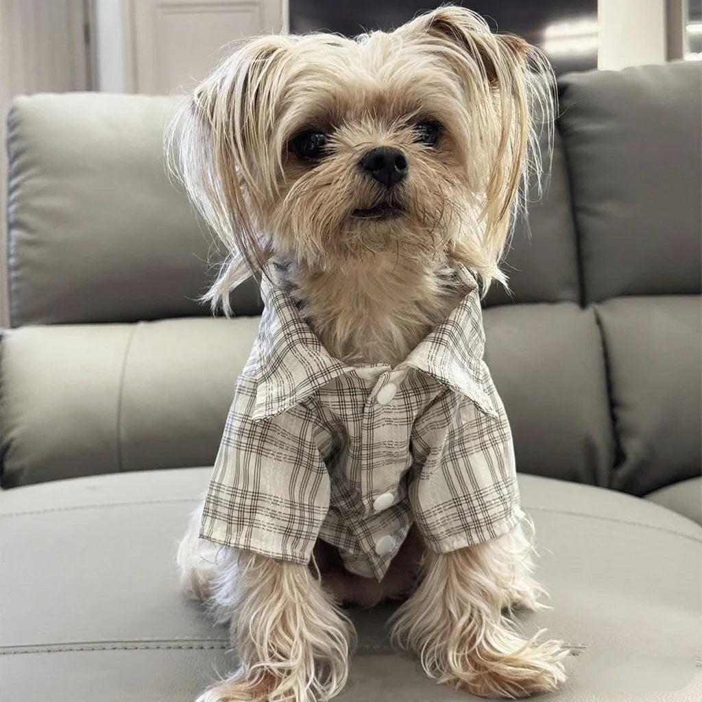 Plaid Shirt for Dogs And Cats