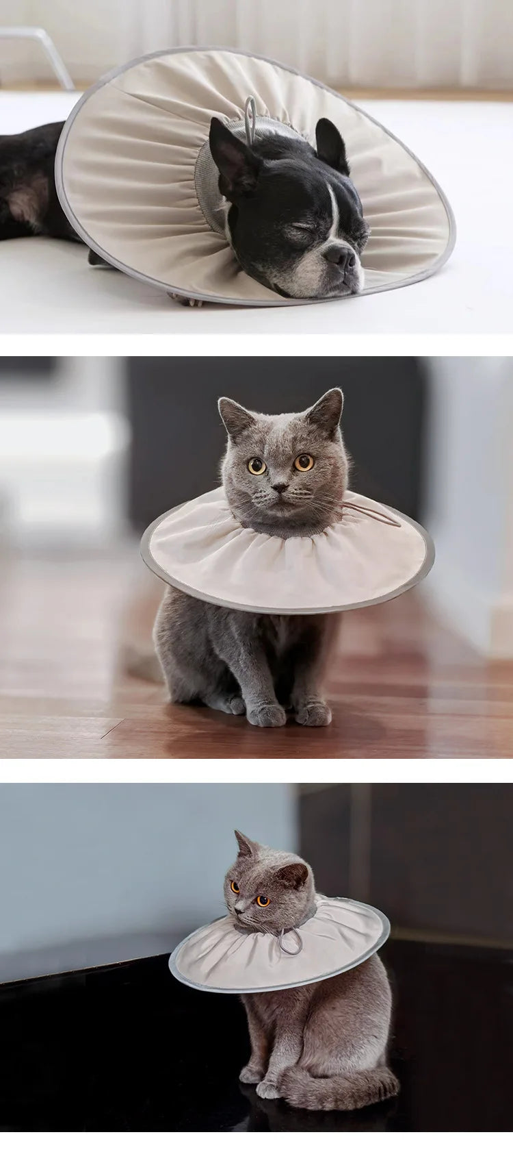 Pet Elizabethan Sterilization Care Collar