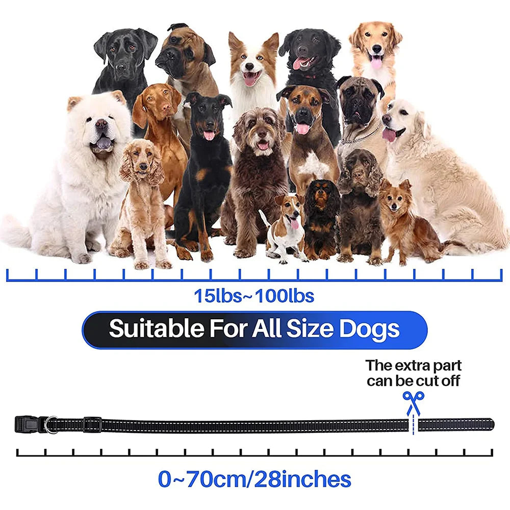 800m Digital Dog Training Collar Waterproof Rechargeable Remote Control