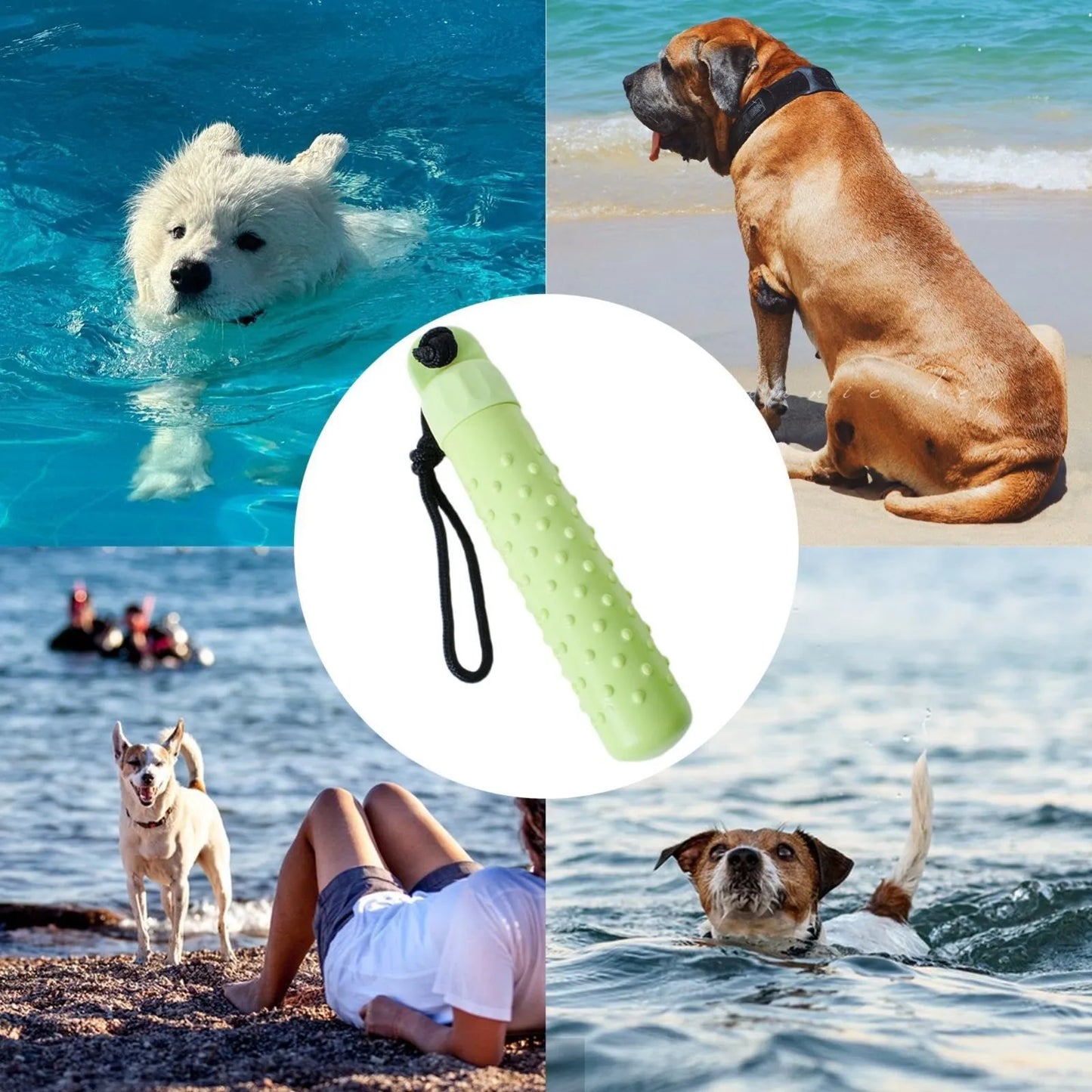 Dog Float Bumper Chew Toy