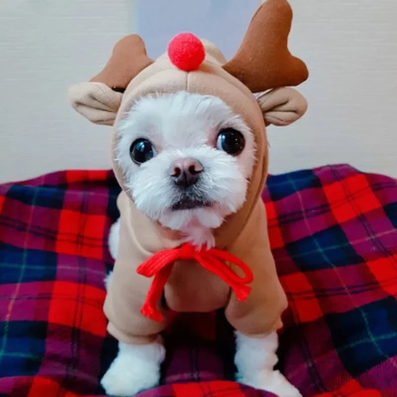 Dog Christmas Clothes