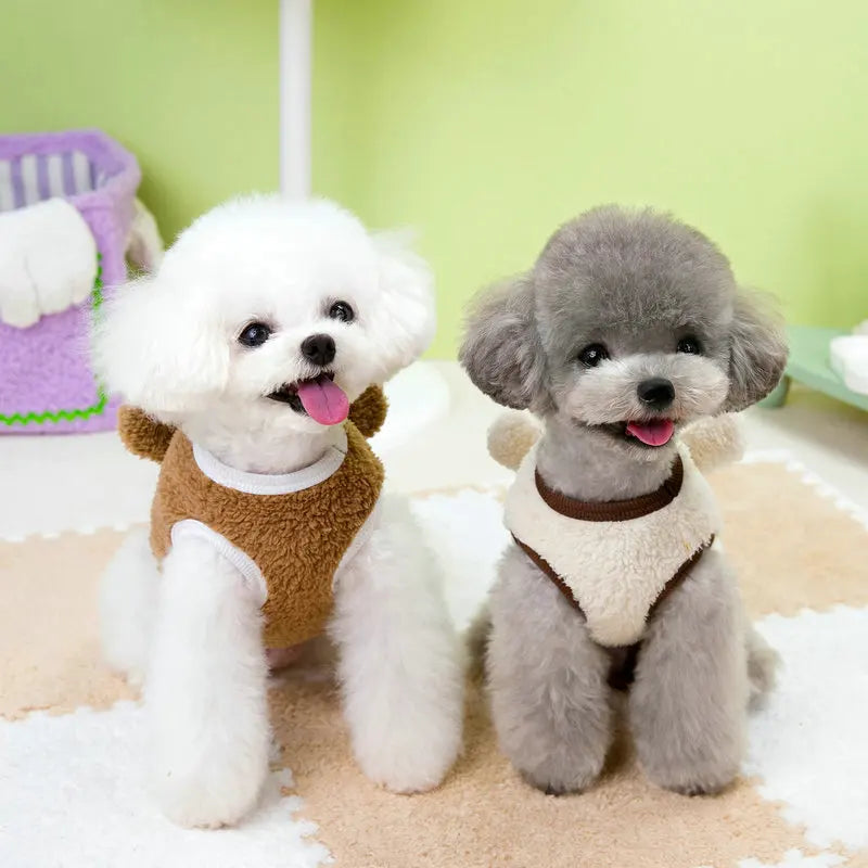 Teddy Coat Pet