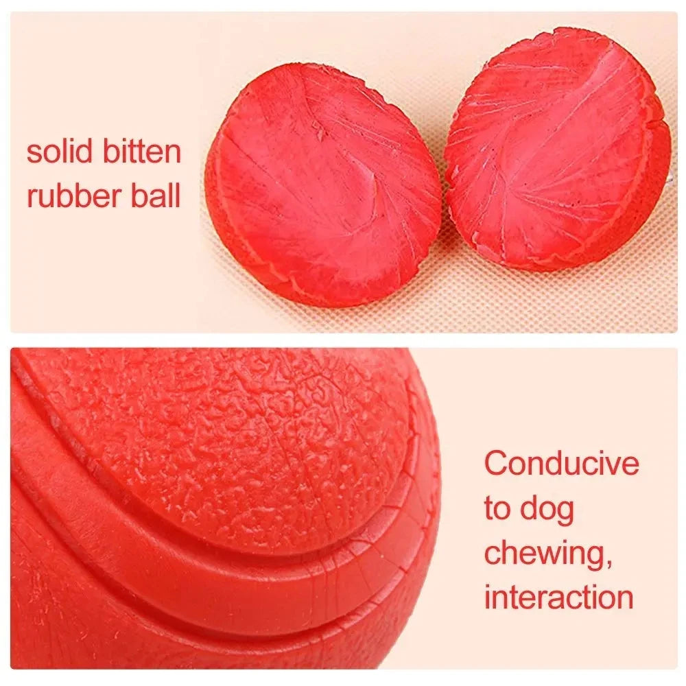 Solid Rubber Balls