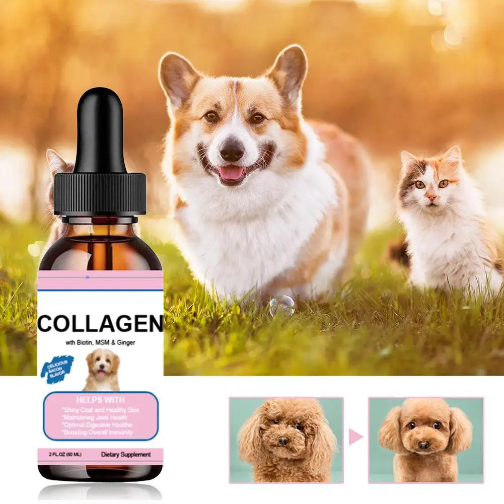 Pet Collagen Drops For Dogs And Cats Healthy Nutritional Supplement
