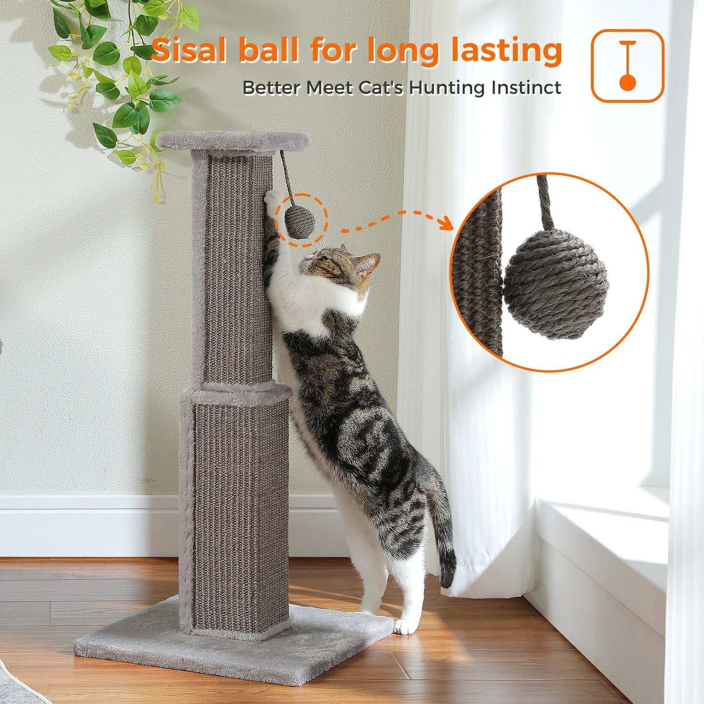 80CM Cat Scratching Post for Indoor