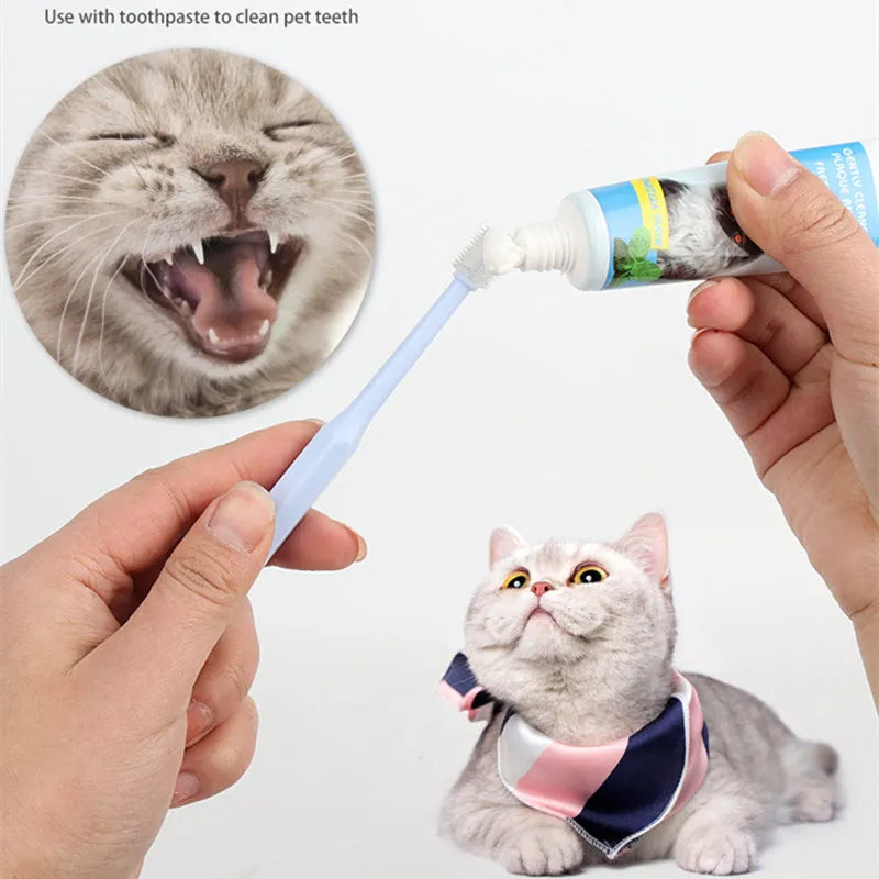 Cat Toothbrush Soft Hair